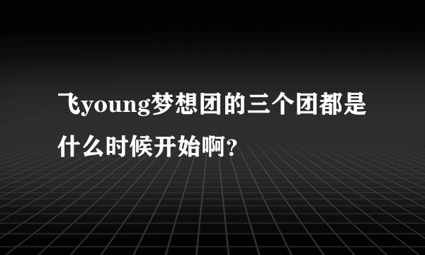 飞young梦想团的三个团都是什么时候开始啊？