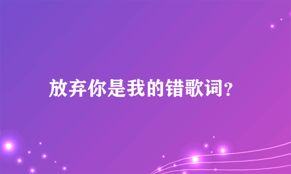 放弃你是我的错歌词？