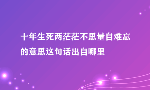 十年生死两茫茫不思量自难忘的意思这句话出自哪里