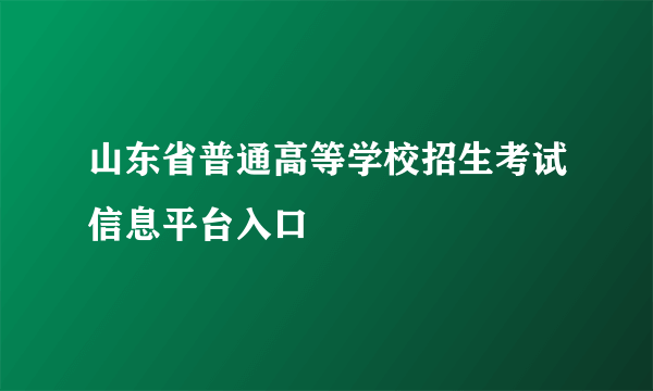 山东省普通高等学校招生考试信息平台入口