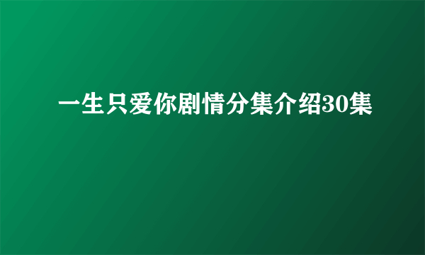 一生只爱你剧情分集介绍30集