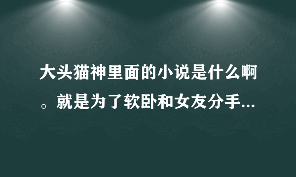 大头猫神里面的小说是什么啊。就是为了软卧和女友分手那个里面的。