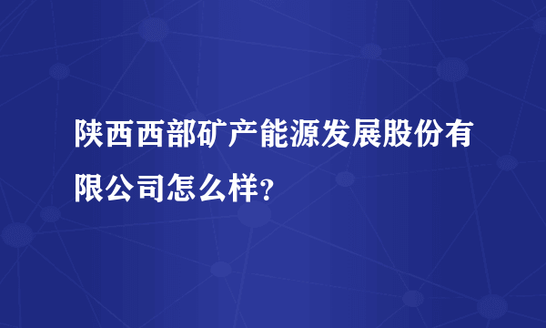 陕西西部矿产能源发展股份有限公司怎么样？