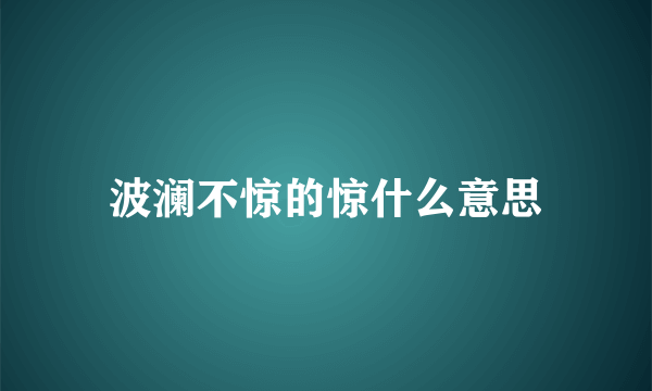 波澜不惊的惊什么意思