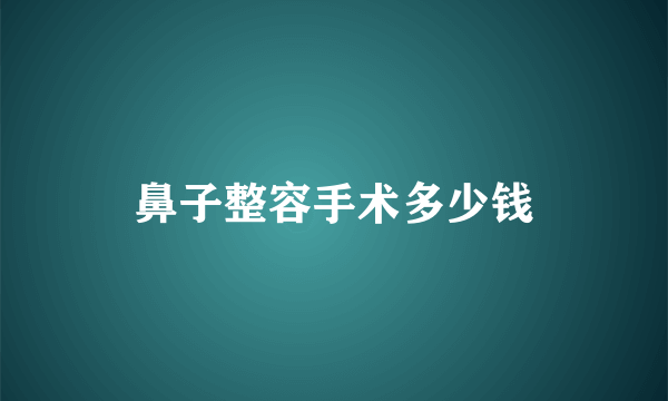 鼻子整容手术多少钱