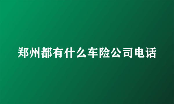 郑州都有什么车险公司电话