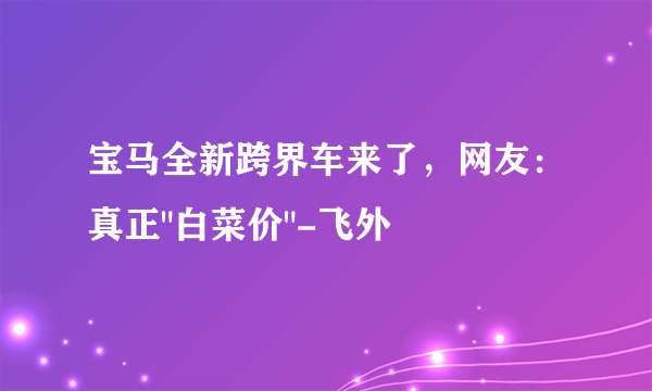 宝马全新跨界车来了，网友：真正