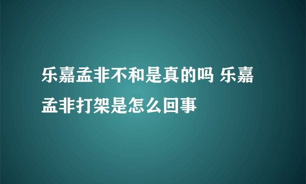 乐嘉孟非不和是真的吗 乐嘉孟非打架是怎么回事