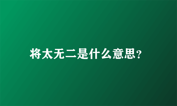 将太无二是什么意思？