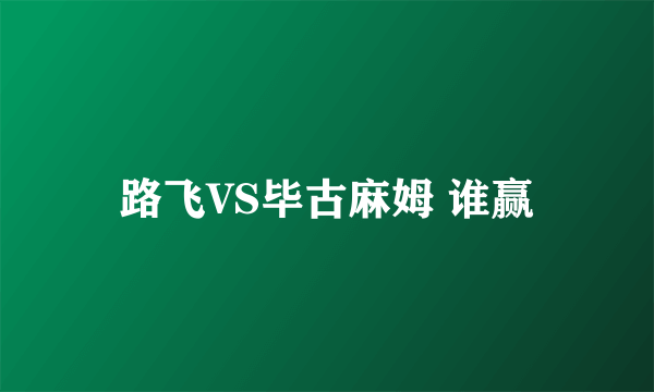 路飞VS毕古麻姆 谁赢