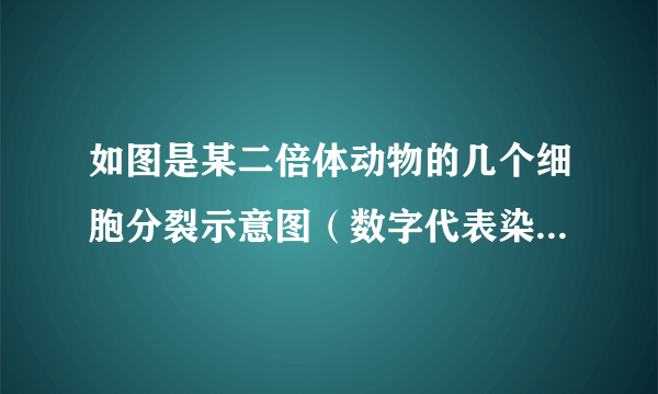 如图是某二倍体动物的几个细胞分裂示意图（数字代表染色体，字母代表染色体上带有的基因）．据图判断错误的是（　　）