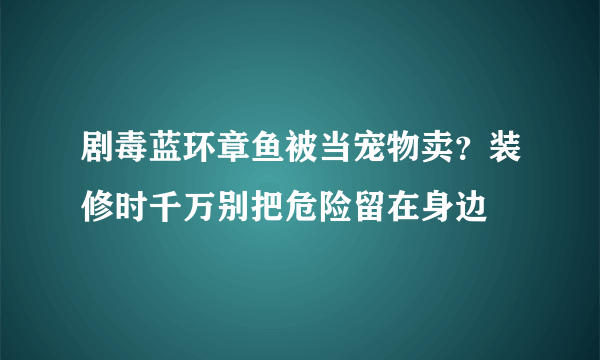 剧毒蓝环章鱼被当宠物卖？装修时千万别把危险留在身边