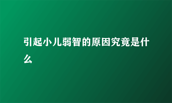 引起小儿弱智的原因究竟是什么