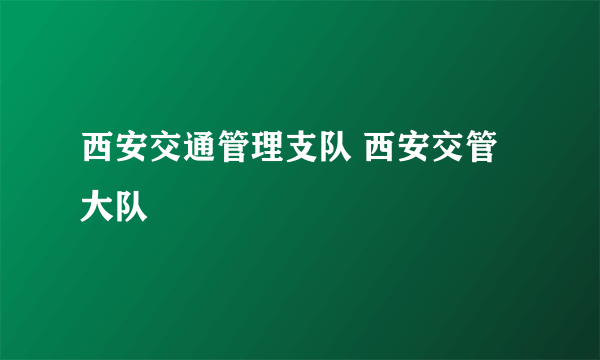 西安交通管理支队 西安交管大队