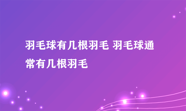 羽毛球有几根羽毛 羽毛球通常有几根羽毛