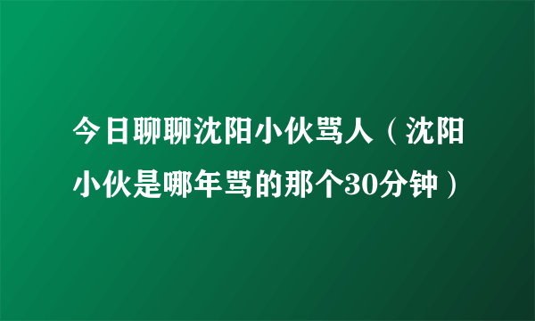 今日聊聊沈阳小伙骂人（沈阳小伙是哪年骂的那个30分钟）