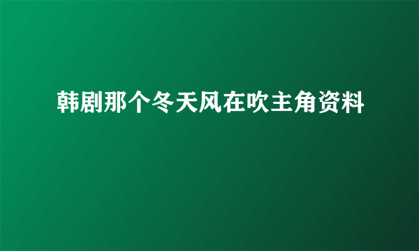 韩剧那个冬天风在吹主角资料