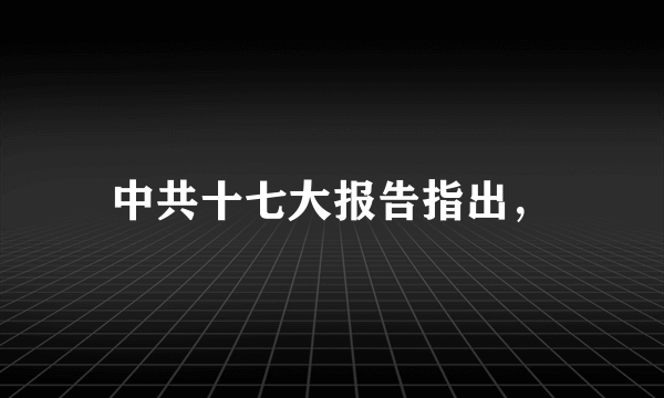 中共十七大报告指出，