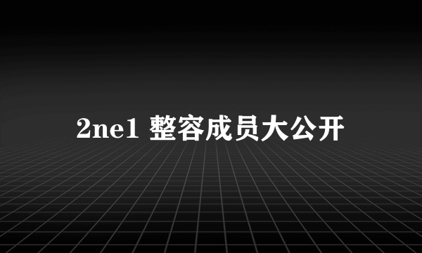 2ne1 整容成员大公开