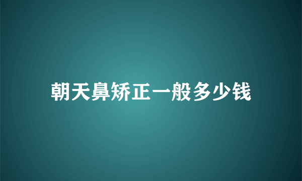 朝天鼻矫正一般多少钱