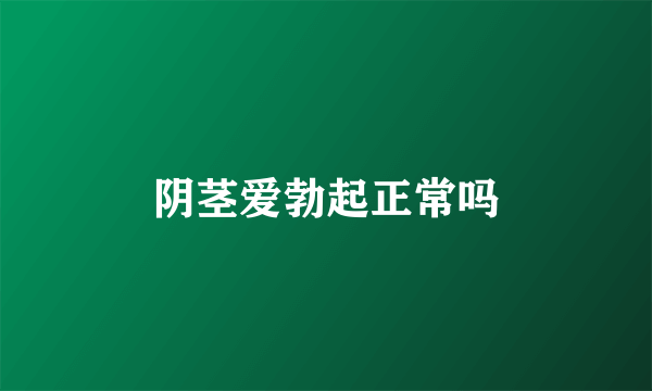 阴茎爱勃起正常吗