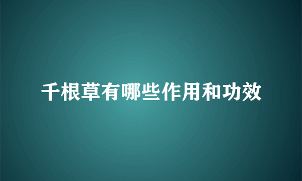 千根草有哪些作用和功效