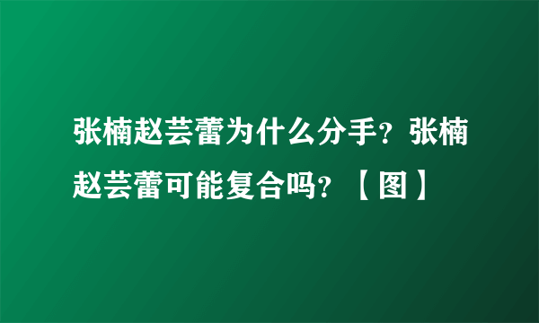 张楠赵芸蕾为什么分手？张楠赵芸蕾可能复合吗？【图】