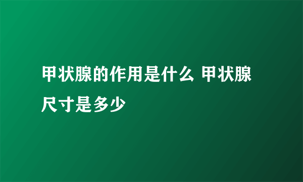 甲状腺的作用是什么 甲状腺尺寸是多少