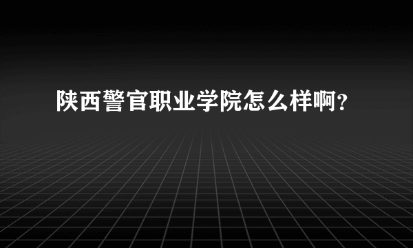 陕西警官职业学院怎么样啊？