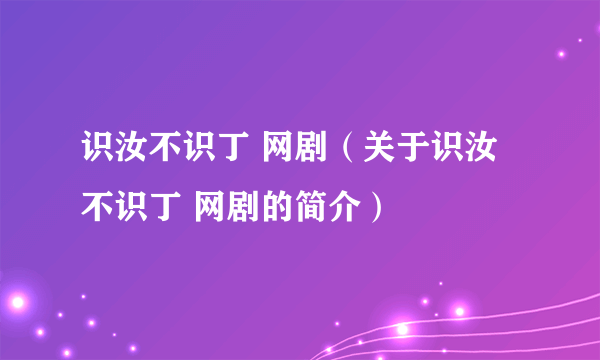 识汝不识丁 网剧（关于识汝不识丁 网剧的简介）