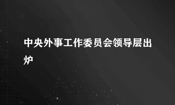 中央外事工作委员会领导层出炉