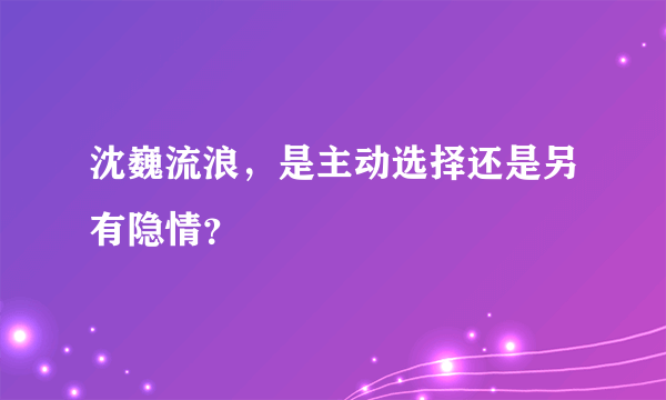 沈巍流浪，是主动选择还是另有隐情？