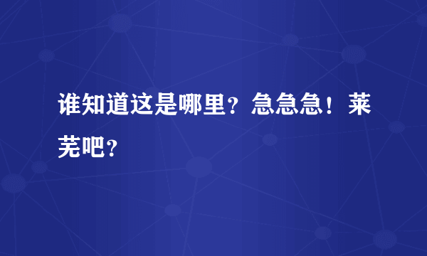 谁知道这是哪里？急急急！莱芜吧？