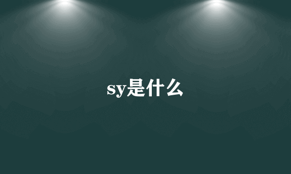 sy是什么