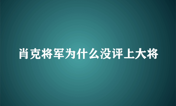 肖克将军为什么没评上大将