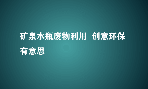 矿泉水瓶废物利用  创意环保有意思