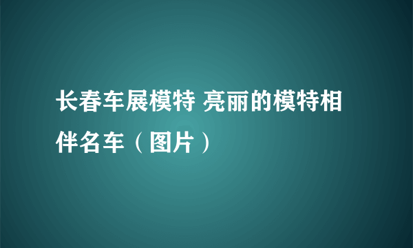 长春车展模特 亮丽的模特相伴名车（图片）