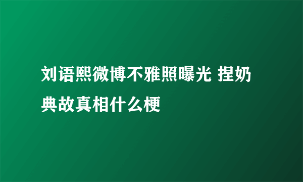 刘语熙微博不雅照曝光 捏奶典故真相什么梗