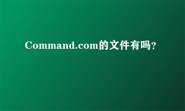 Command.com的文件有吗？