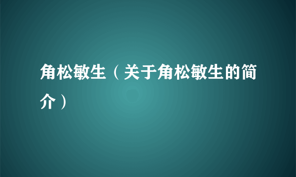 角松敏生（关于角松敏生的简介）