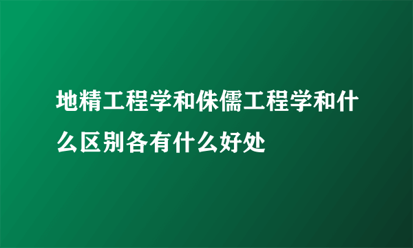 地精工程学和侏儒工程学和什么区别各有什么好处