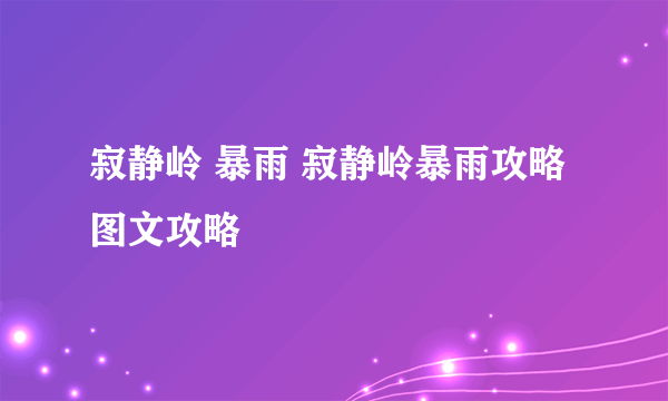 寂静岭 暴雨 寂静岭暴雨攻略图文攻略