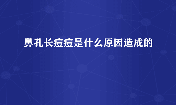 鼻孔长痘痘是什么原因造成的