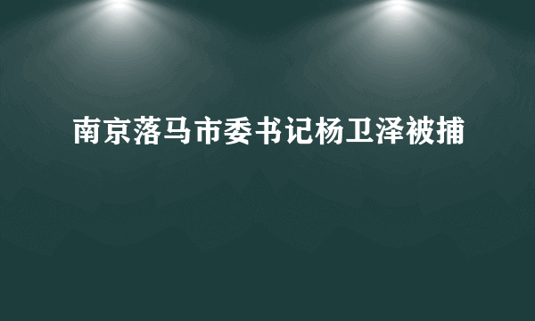 南京落马市委书记杨卫泽被捕