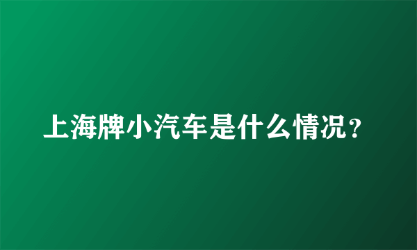 上海牌小汽车是什么情况？