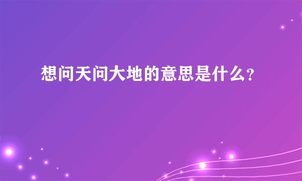 想问天问大地的意思是什么？