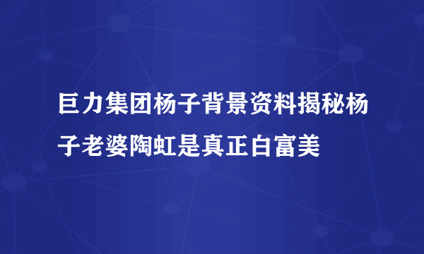 巨力集团杨子背景资料揭秘杨子老婆陶虹是真正白富美