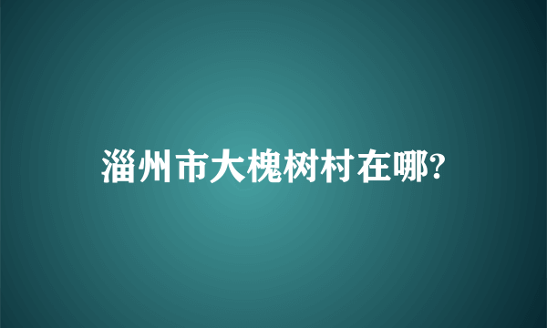 淄州市大槐树村在哪?