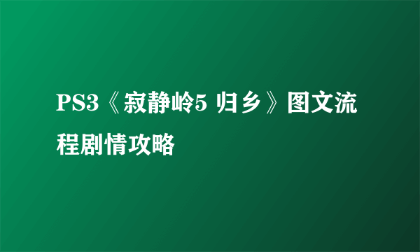 PS3《寂静岭5 归乡》图文流程剧情攻略