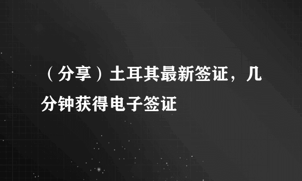 （分享）土耳其最新签证，几分钟获得电子签证